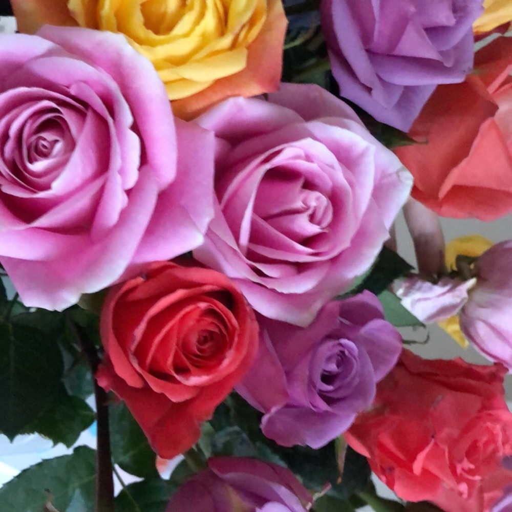 Meet your Posher, Veronika